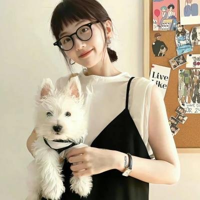 潜行追踪 第三季